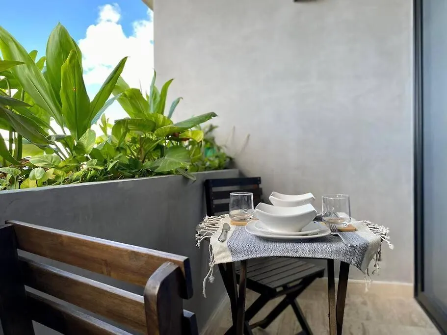 New! Luxury Top Floor Condo-Steps To 5Th-Fast Wifi Playa del Carmen Apartment