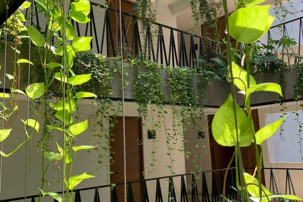 Apartment New! Luxury Top Floor Condo-Steps To 5Th-Fast Wifi Playa del Carmen